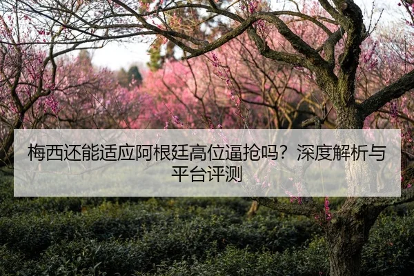梅西还能适应阿根廷高位逼抢吗？深度解析与平台评测